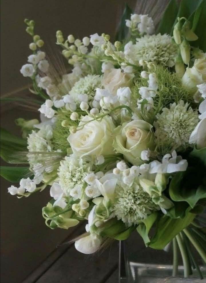 Bonne semaine..