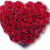 SAINT VALENTIN, L’amour est à l’honneur ce VENDREDI 14 FEVRIER
